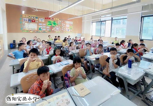 雙減政策下的溫度與深度 記暨陽實驗小學教育集團聯盟課后服務與教育咨詢服務